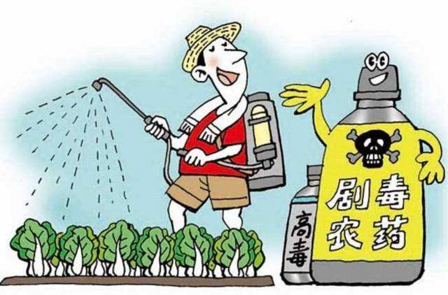 什么樣的食品中含有農(nóng)藥殘留比較多？