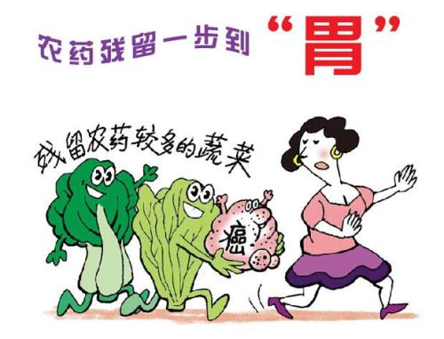 品牌雞蛋真的比普通雞蛋營(yíng)養(yǎng)嗎？
