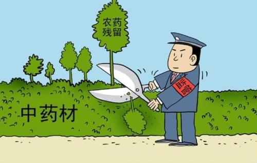 農殘檢測儀保證人們的果蔬安全