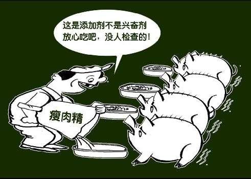 土雞蛋一天攝入多少合適？