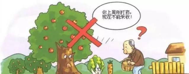  食品安全如何保證？