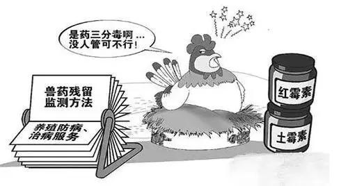 如何利用食品安全檢測(cè)儀來(lái)維護(hù)食品安全？