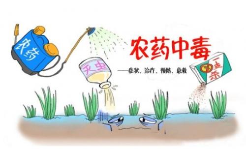合適的蔬菜如何來(lái)選擇？