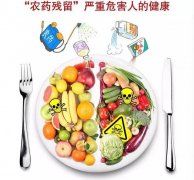 山東云唐的農(nóng)藥殘留檢測儀怎么樣？